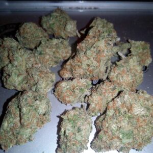 https://daboswinneylosangeles.com/wp-content/uploads/2025/10/Great-White-Shark-300x300.jpg