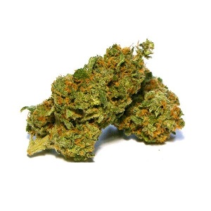 https://daboswinneylosangeles.com/wp-content/uploads/2025/10/Sour-Banana-Sherbet.jpg
